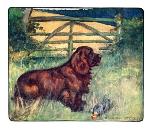 1906 antique sussex - 1906,