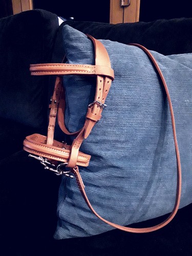 Small stitched bridle for - small,
