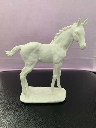 Kaiser foal white - kaiser,