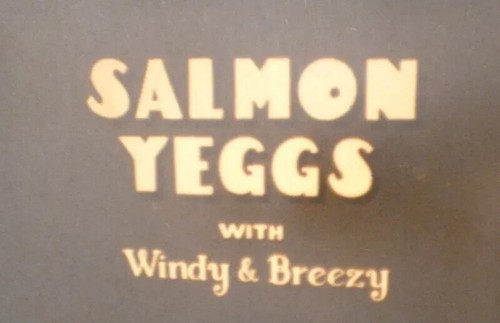 Super 8mm film salmon - film,