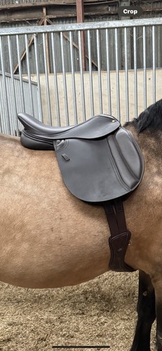 Fiona cork saddle 5 xw - fiona,