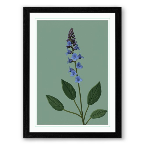 Purple flower spike - flower, botanical
