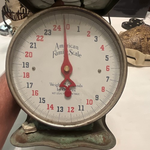 American family scale - american,