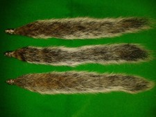 ONE GREY SQUIRREL TAIL Furry