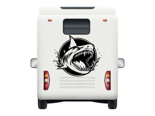 Shark camper decal - shark,