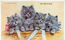 FOUR PERSIAN KITTENS by MABEL