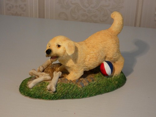 Golden retriever puppy - puppy, by