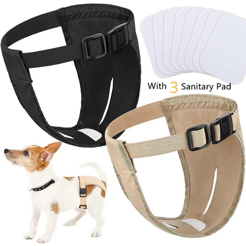 Washable female dog - washable, diapers
