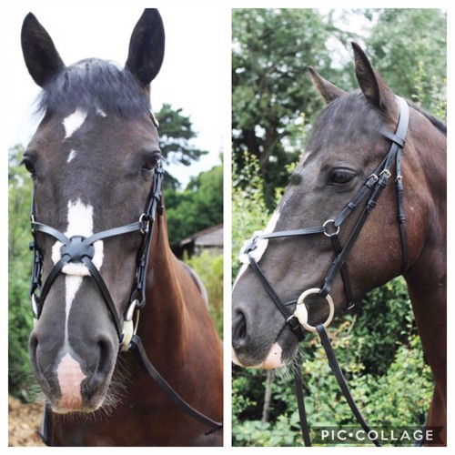 Grackle bridle mexican - bridle,,