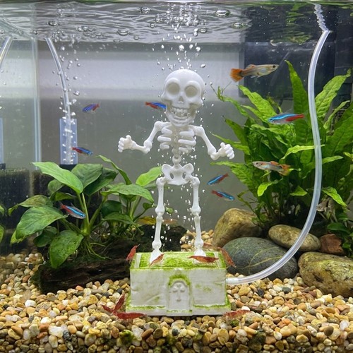 Dancing skeleton aquarium - skeleton,