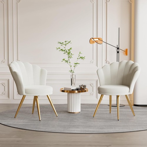 Velvet shell vanity - shell, chair
