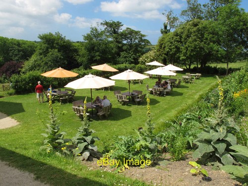 Photo 6x4 lawn trerice with - photo,