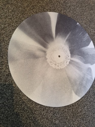 Ariana grande petals - ariana, slip