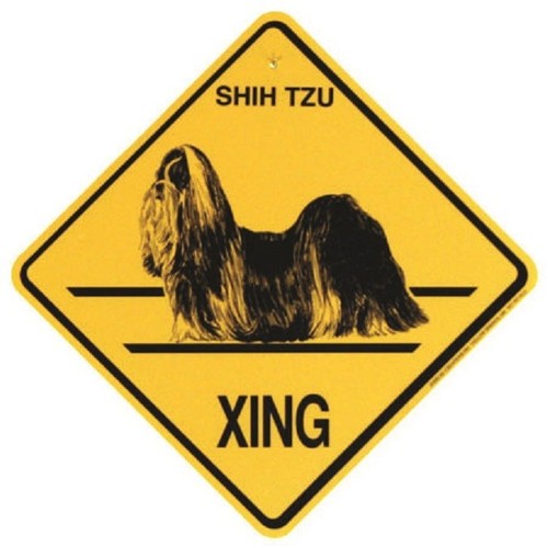 Shih tzu dog crossing xing - dog,