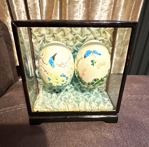 Glass display case with - display, 2
