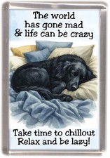 Flatcoated Retriever Dog