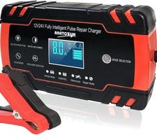 12V/24V 8Amp Car Battery