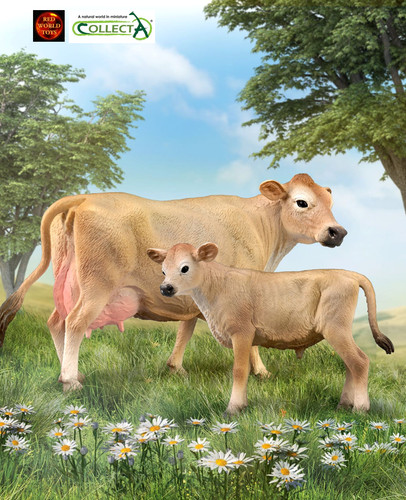 Jersey cattle cow calf - cattle,