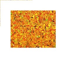 Egg food moist fruity - , canaries