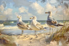 Seagulls Beach Seaside Canvas