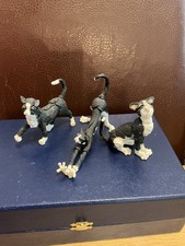 A Breed Apart Mini Cats X 3 White, Black And White