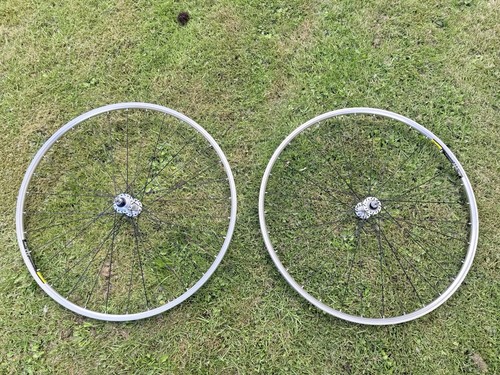 Miche primato track hubs with - miche,