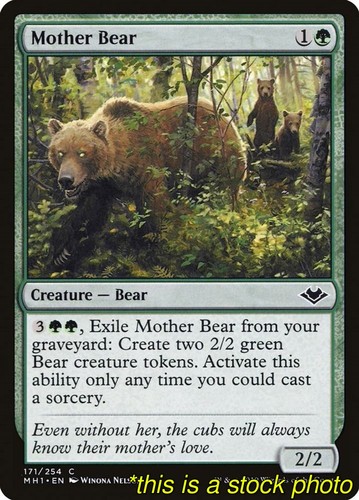 Magic mother bear modern - mother,