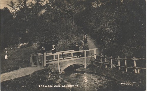 Leybourne near west malling - leybourne,