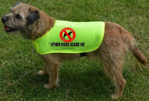 Please keep your dog away - please,