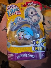 Little Live Pets Lil' Hedgehog