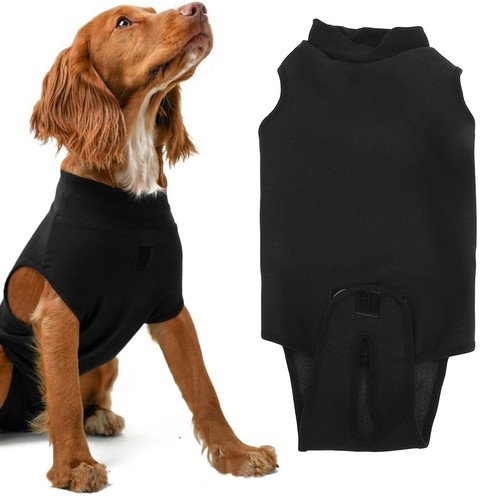 Dog neuter spay - dog,