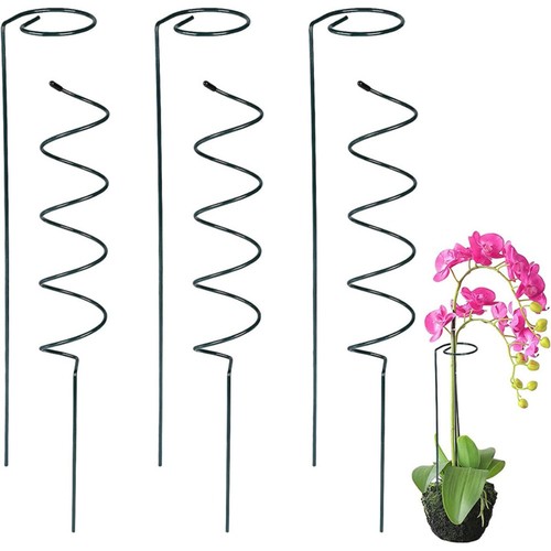 Climbing vine rack - climbing,