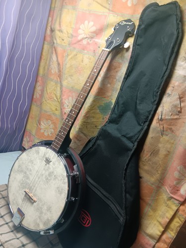 Ozark tenor banjo - tenor, 19