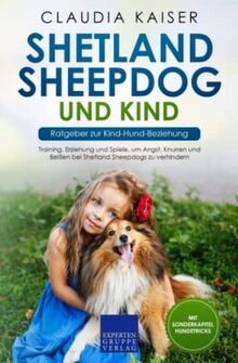 Shetland sheepdog und kind - shetland,