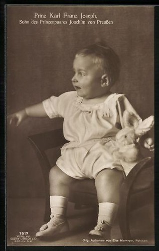 Prince karl franz joseph son - franz, joseph,