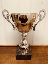Big silver trophy 13 - 🏆,
