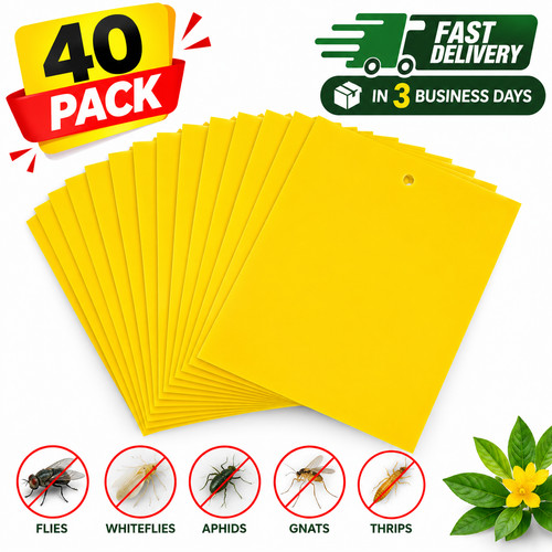 Pack yellow sticky - yellow, insect