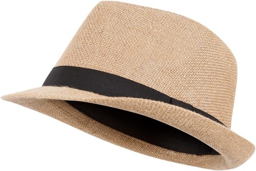 Unisex fedora hat - unisex, hat,sun