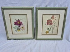 Two Framed Botanical Watercolour Prints by Charles Rennie Mackintosh
