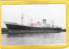 CANBERRA STAR 1956 Blue Star Line refrigerated cargo ship       -Photograph