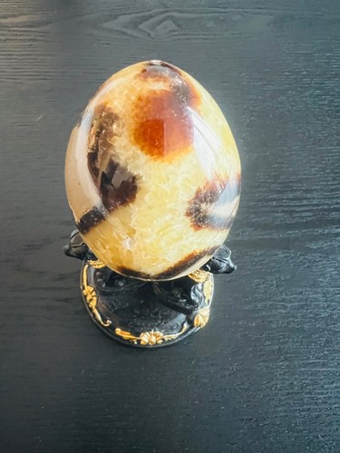 Septarian dragon egg crystal - septarian,