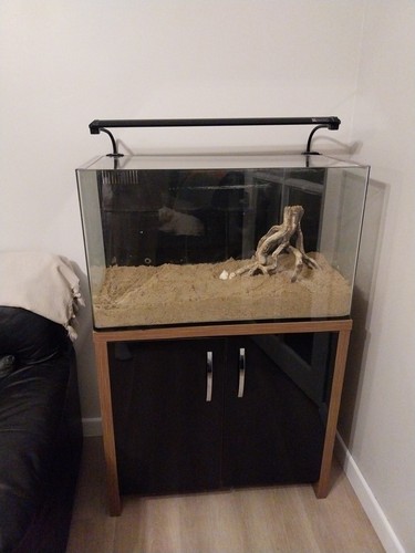 Fish tank with cabinet - with,