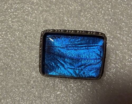 Art deco butterfly wing pin - wing,