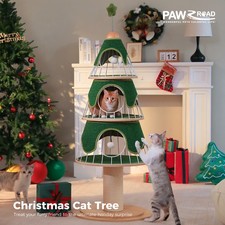 Pawz road large cat - cat, tree
