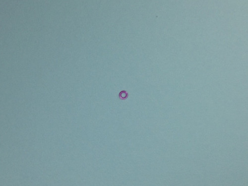 Genuine new old stock seiko - new,