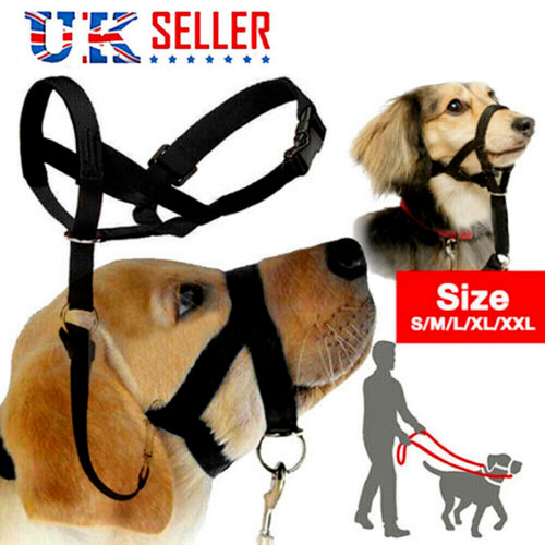 New head collar pet dog - head,