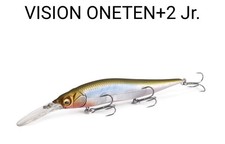 Megabass Vision Oneten 110 + 2