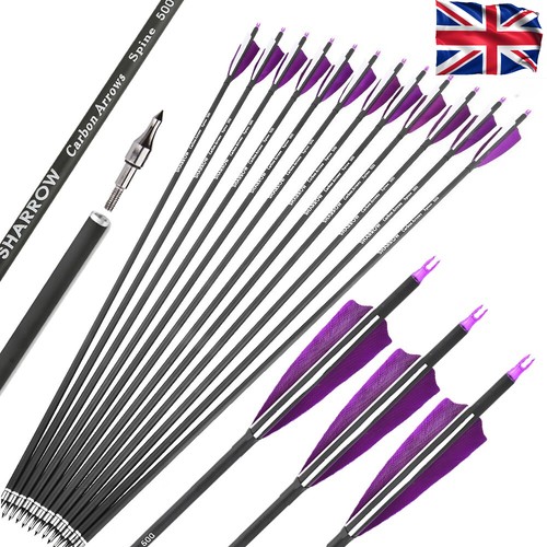 12x carbon arrows sp500 - 30",