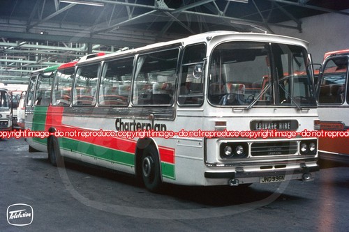 Coach photo greater - -,