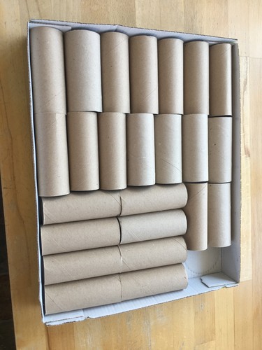 Empty cardboard toilet roll - empty,